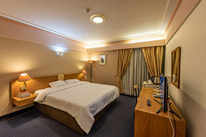 "دينار  Private room" فندق بارس مشهد