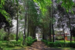 نمای بیرونی مجتمع اقامتی زیبا کنار بندرانزلی