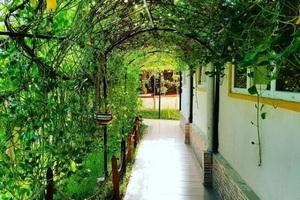 نمای بیرونی هتل فولتون قشم